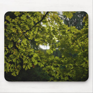 Alfombrilla De Ratón Sol a través de hojas verdes