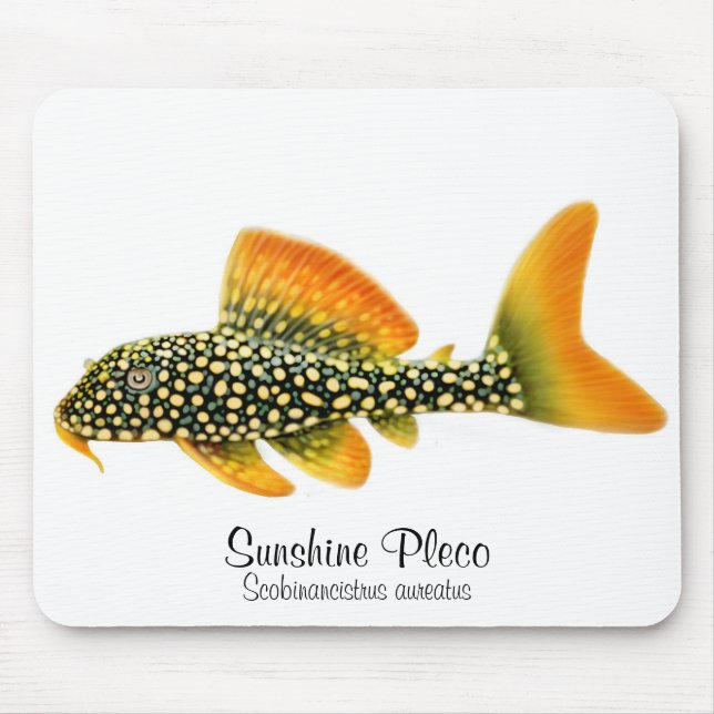 Alfombrilla De Ratón Sol Pleco Mousepad de Goldy (Frente)