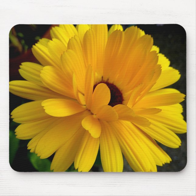 Alfombrilla De Ratón ¡Soleil acostado! (Frente)