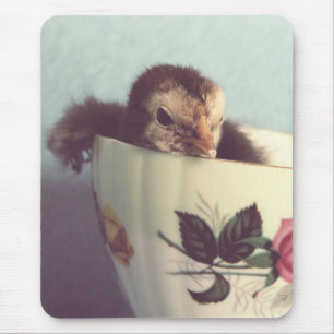 Alfombrilla De Ratón Solo Chillin'