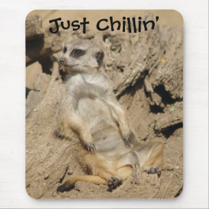 Alfombrilla De Ratón Sólo Chillin' Meerkat foto almohadilla del ratón