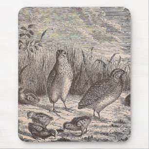 Alfombrilla De Ratón Solo Quail