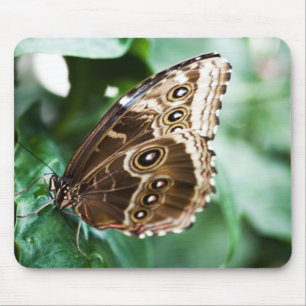 Alfombrilla De Ratón Sólo un pico de Mousepad