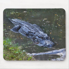 Alfombrilla De Ratón Sombra en las aguas poco profundas