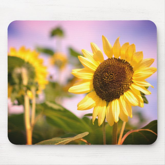 Alfombrilla De Ratón Sombrillas en el Jardín Botánico RHS Wisley (Frente)