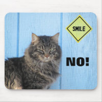 ¿Sonríe? No! Meme de gato
