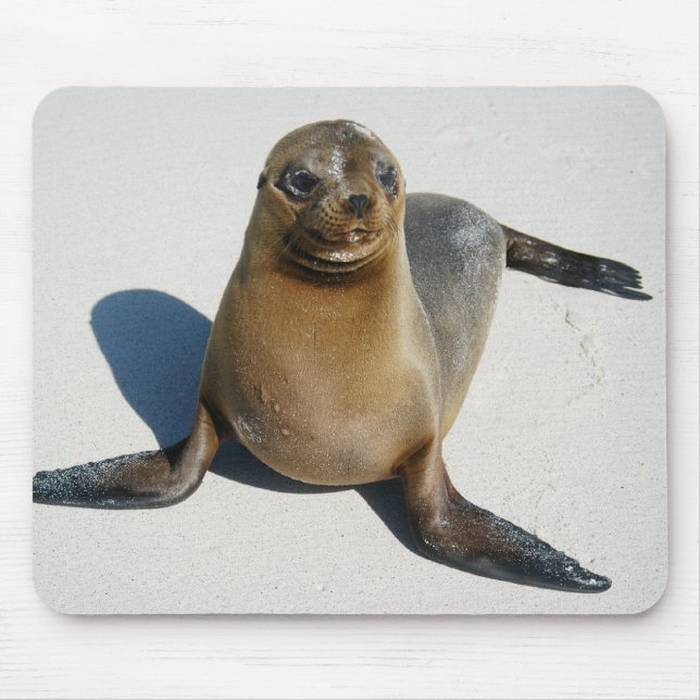 Alfombrilla De Ratón Sonrisa (Frente)