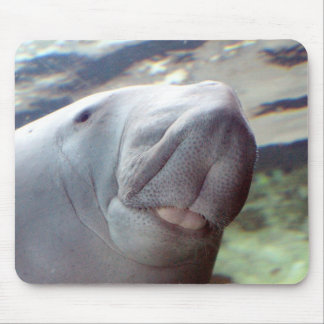 Alfombrilla De Ratón Sonrisa de Dugong