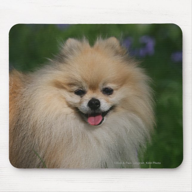 Alfombrilla De Ratón Sonrisa de Pomeranian (Frente)