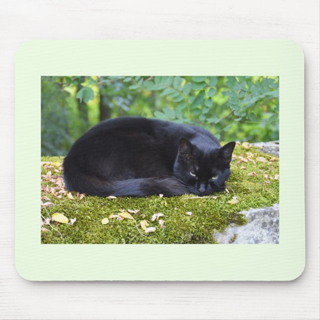 Alfombrilla De Ratón Sooty (Frente)