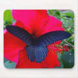 Alfombrilla De Ratón Sorber dulce - la mariposa Mousepad
