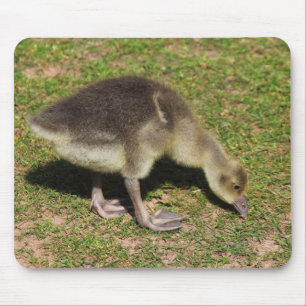 Alfombrilla De Ratón Sordera