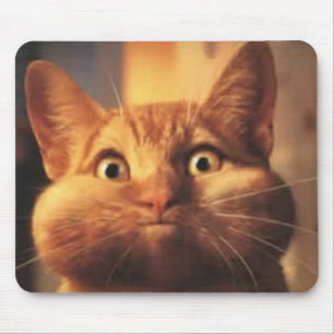 Alfombrilla De Ratón Sorprendido Gato Mousepad