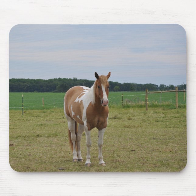 Alfombrilla De Ratón Sorrel Tobiano Paint Horse (Frente)