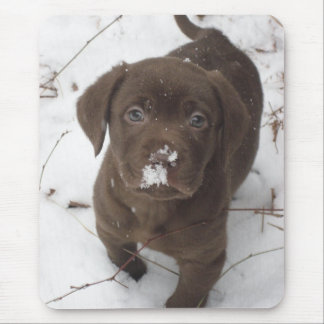 Alfombrilla De Ratón Sosa Lakota