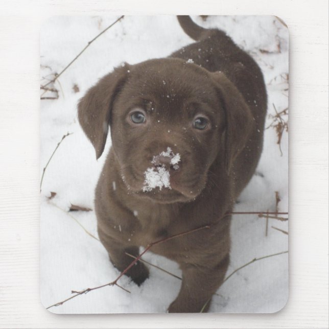 Alfombrilla De Ratón Sosa Lakota (Frente)