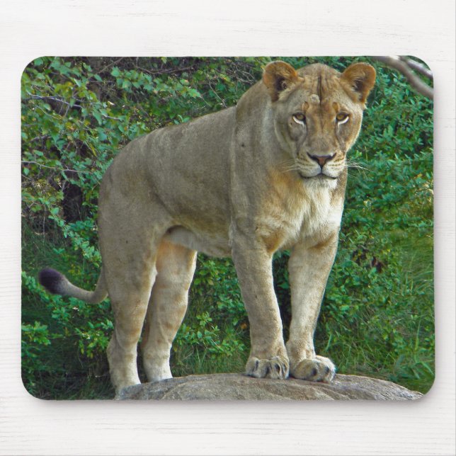 Alfombrilla De Ratón ¡Soy Mujer! (Frente)