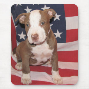 Alfombrilla De Ratón Soy todo americano