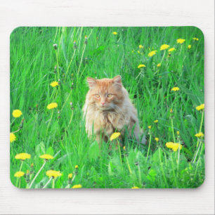 Alfombrilla De Ratón Soy un león andino
