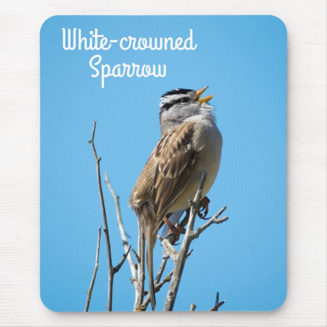 Alfombrilla De Ratón Sparrow con corona blanca (Frente)