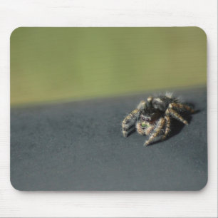 Alfombrilla De Ratón Spider