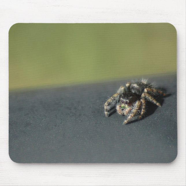 Alfombrilla De Ratón Spider (Frente)