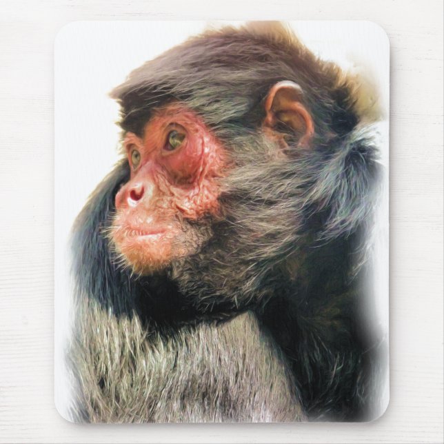 ALFOMBRILLA DE RATÓN SPIDER MONKEY (Frente)