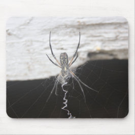 Alfombrilla De Ratón Spider Mouse Pad