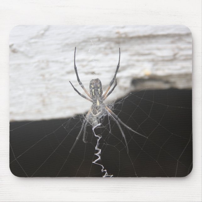 Alfombrilla De Ratón Spider Mouse Pad (Frente)