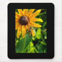 Spider sobre el Mousepad del girasol