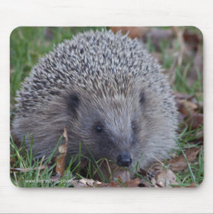 Alfombrilla De Ratón Spike Mousemat
