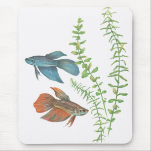 Alfombrilla De Ratón Splendens de Betta y blanco indica de Rotala
