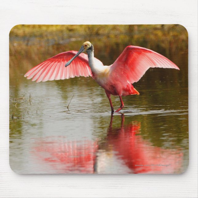Alfombrilla De Ratón Spoonbill (Frente)