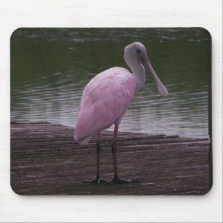Alfombrilla De Ratón Spoonbill rosado