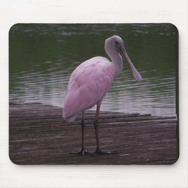 Alfombrilla De Ratón Spoonbill rosado (Frente)