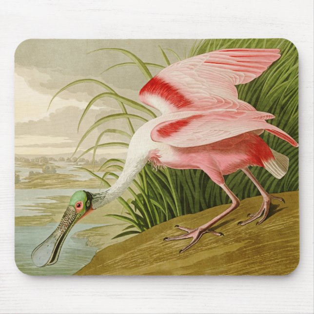 Alfombrilla De Ratón Spoonbill rosado Mousepad (Frente)