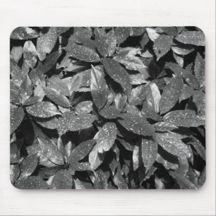Alfombrilla De Ratón Sporel Laurel, Aucuba Japonica - B/W