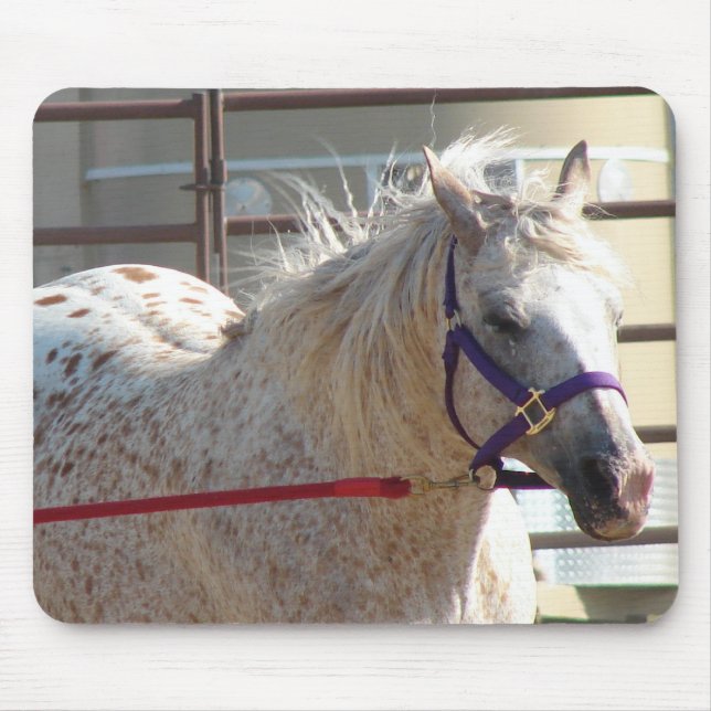 Alfombrilla De Ratón Spoted Pony (Frente)