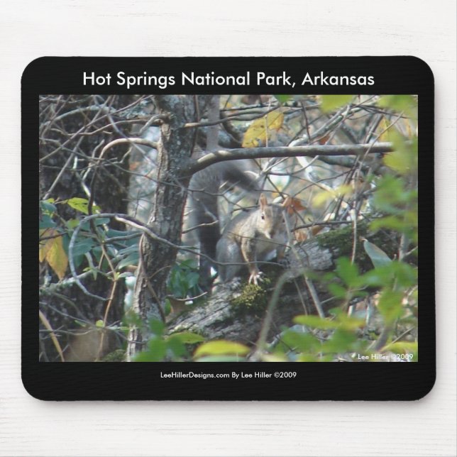 Alfombrilla De Ratón Squirrel Hot Springs Parque Nacional Mt., AR Sende (Frente)