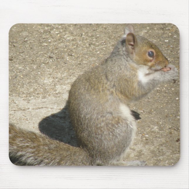 Alfombrilla De Ratón Squirrel Hungry Horatio Mousepad (Frente)