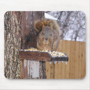 Alfombrilla De Ratón Squirrel Mousepad