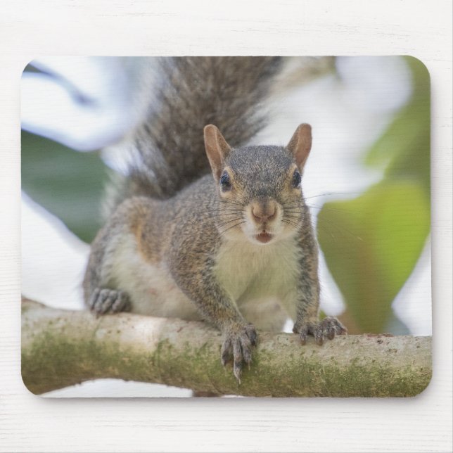 Alfombrilla De Ratón Squirrel Selfie (Frente)