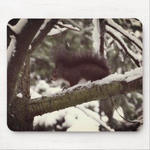 Alfombrilla De Ratón Squirrel Winter Photo Mousepad