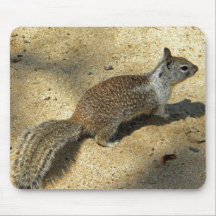 Alfombrilla De Ratón Squirrell