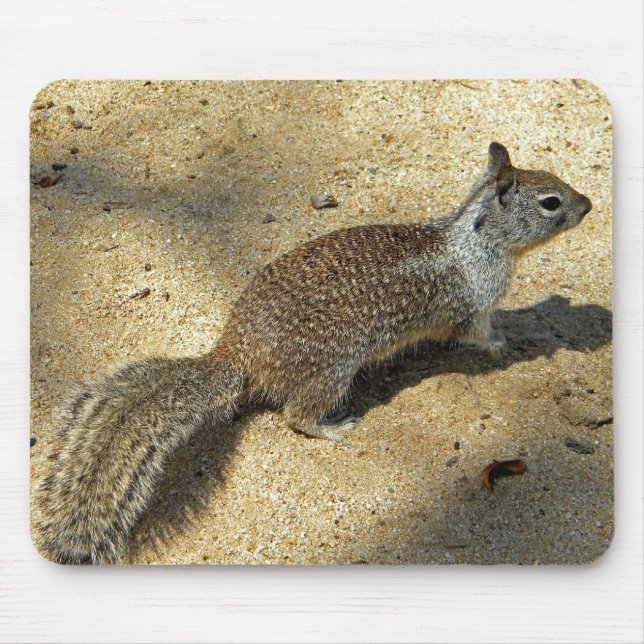 Alfombrilla De Ratón Squirrell (Frente)