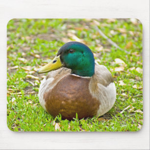 Alfombrilla De Ratón Sr. Mallard el Pato