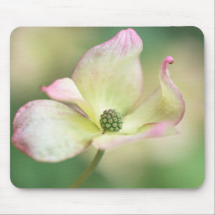 Alfombrilla De Ratón Srta. Satomi' de Kousa del Cornus del flor el  