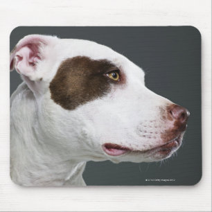 Alfombrilla De Ratón Staffordshire bull terrier, primer