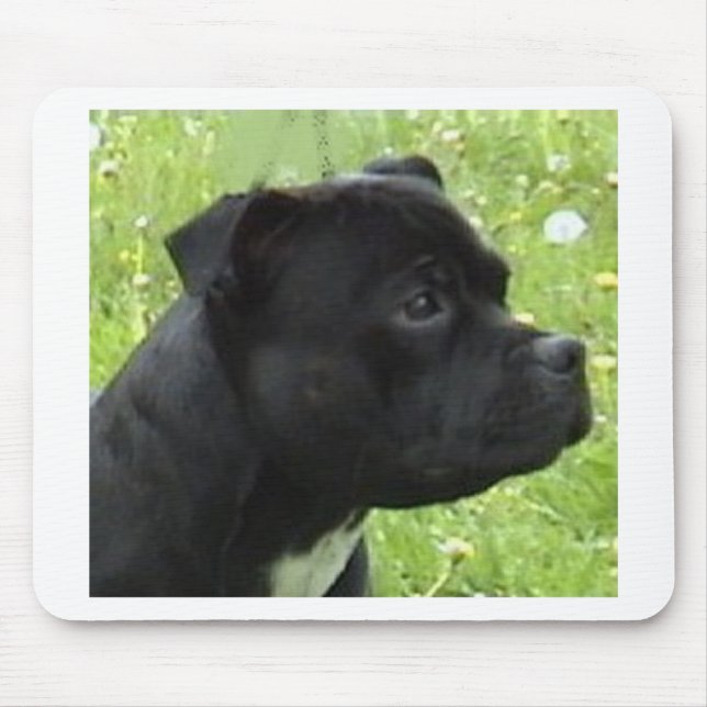 Alfombrilla De Ratón staffy.png (Frente)