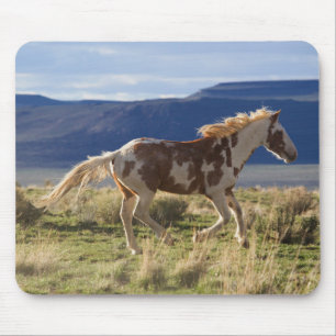 Alfombrilla De Ratón Stallion en marcha, montañas Steens, Oregón